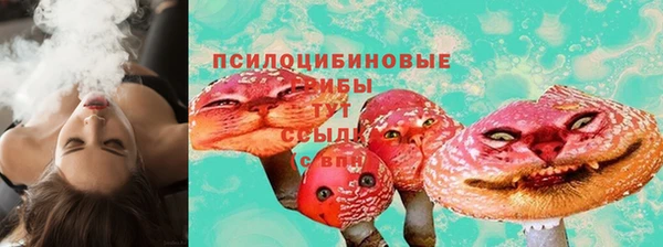 дмт Балахна